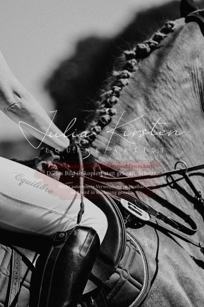 DSC_9630 | Pferde- und Turnierfotografie in Westsachsen. Pferdeportraits, Auftragszeichnungen und intuitive Kunst.