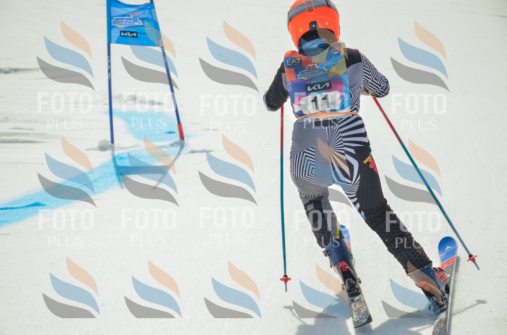 _ELE4578 | holidayphoto