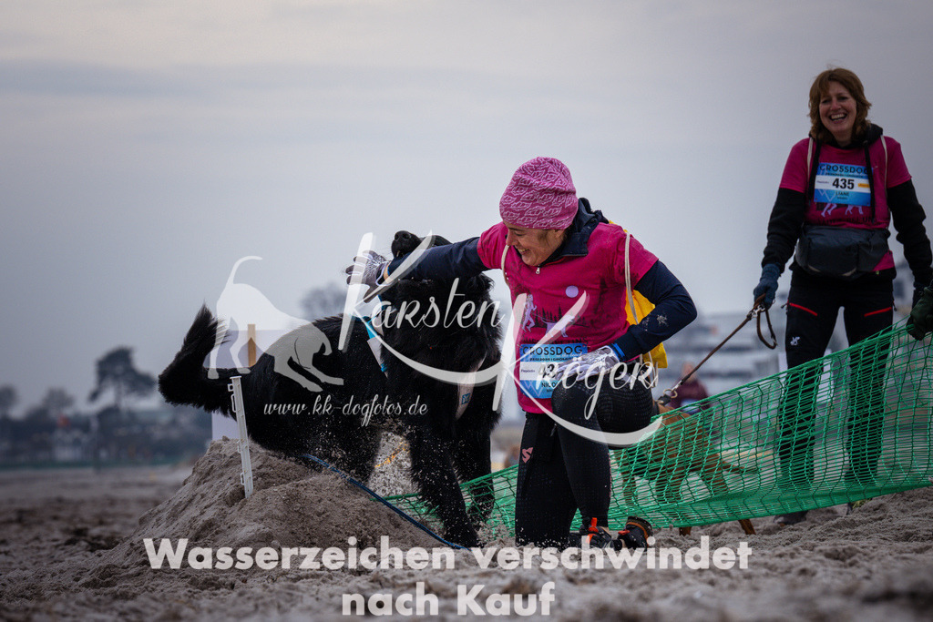 1219_ZZ93456 | kk-dogfotos