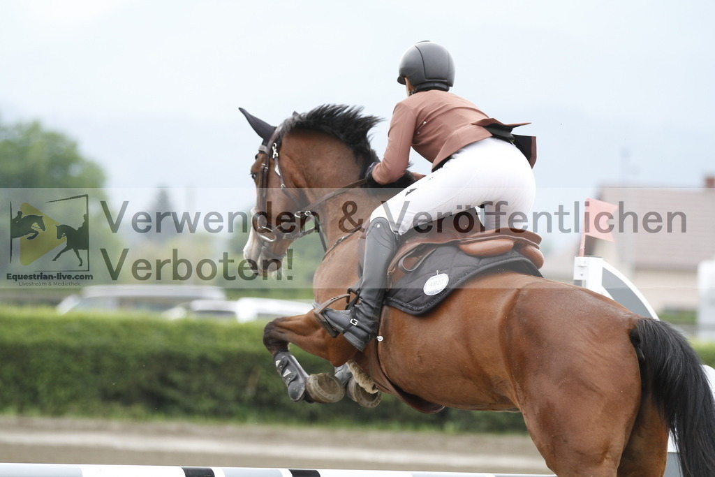 _MG_9610 | equestrian-live-com