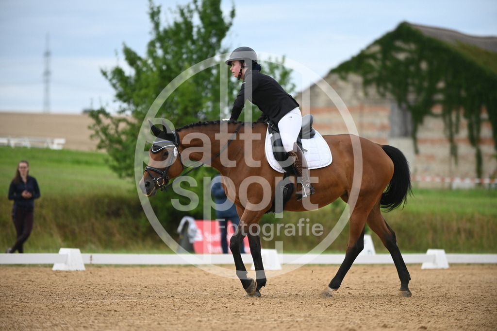 DSC_4684 | sattelsport - Realisiert mit Pictrs.com