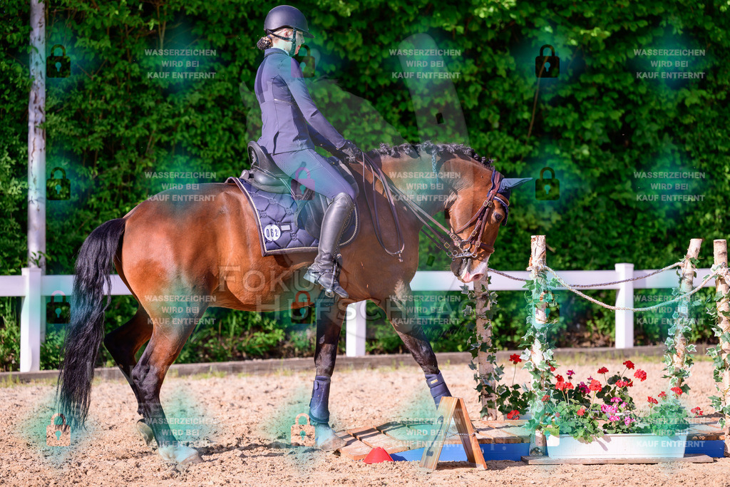 02052026-Giesenbach-03-Speedtrail-0267 | Fokus Hufschlag Fotografie - Realisiert mit Pictrs.com