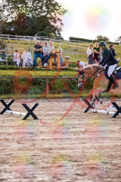 2026_10_03_Siefer-Hof_145301_Z81_32265303 | Professionelle Reitsport-, Turnier- und Eventfotografie von Robert Broda. Galerien mit ausgewählten und bearbeiteten Bildern direkt online ansehen und bestellen.
