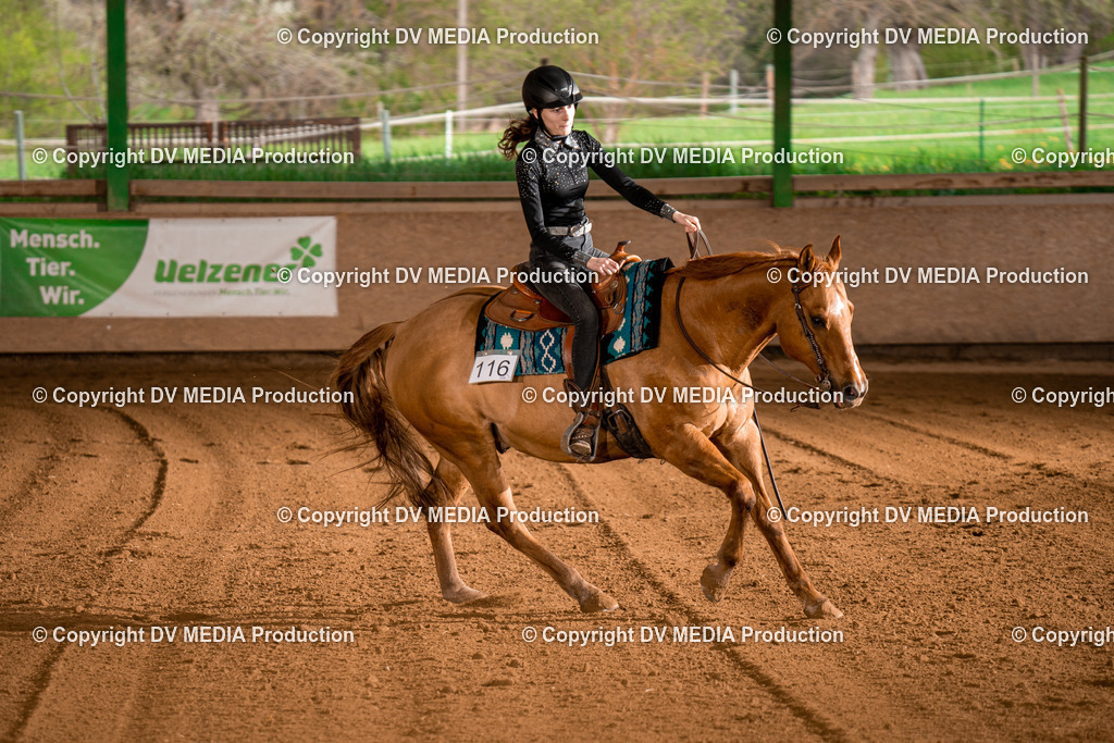 BAL00987 | dv-media-shop - Realisiert mit Pictrs.com