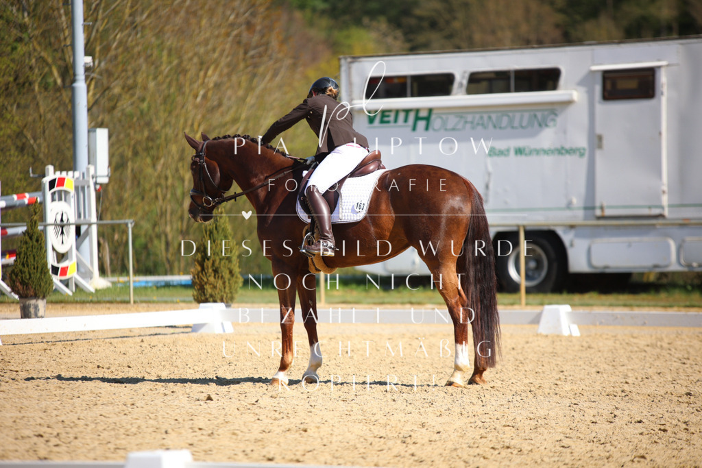 IMGT8628 | pl-fotografie