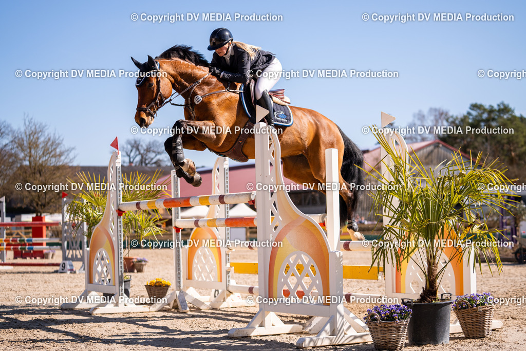 Kranichstein Tag 2-833 | dv-media-shop - Realisiert mit Pictrs.com