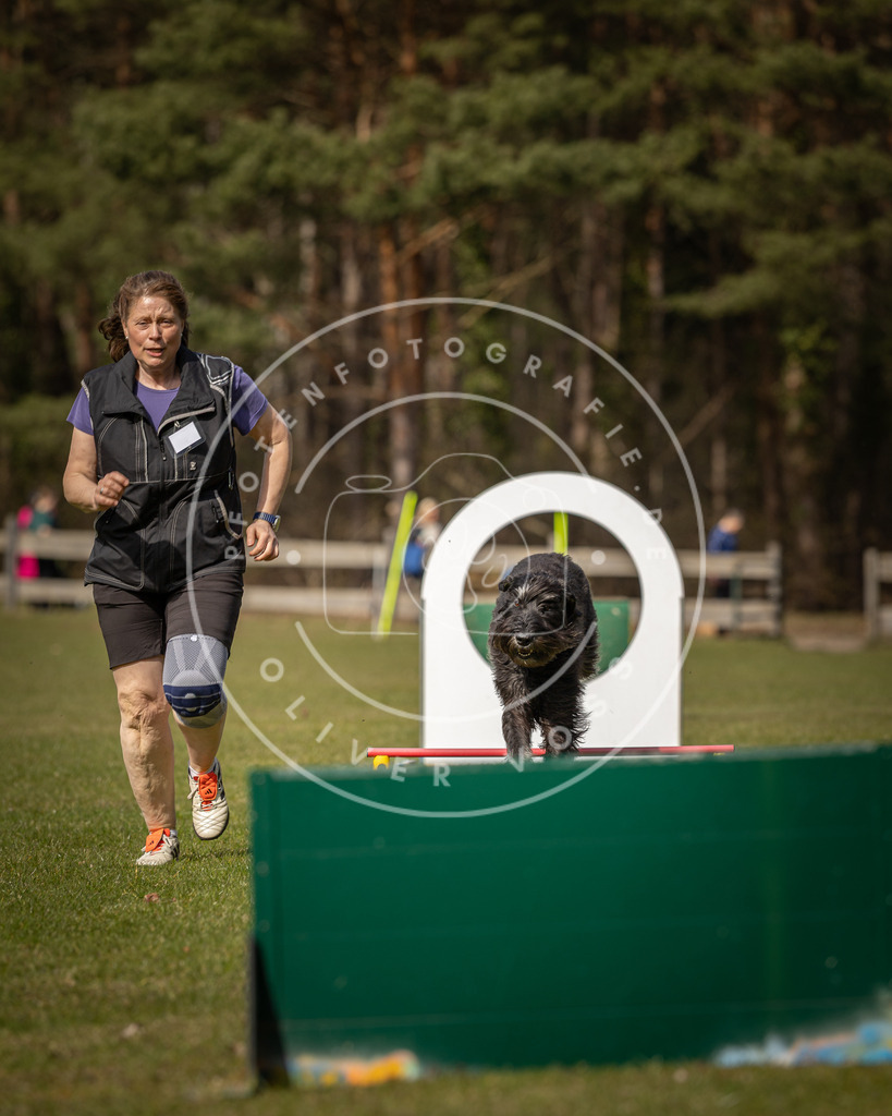 Pfotenfotografie_DV3A0270 | Hundefotografie, Tierfotograf, Pfotenfotografie, Fotoshooting Hund, Hunde Portrait, Hundesport, Hundeportraits, Heideshooting, Hunde, Sportfotograf, Hundefotograf, Turnierhundsport, THS,  - Realisiert mit Pictrs.com