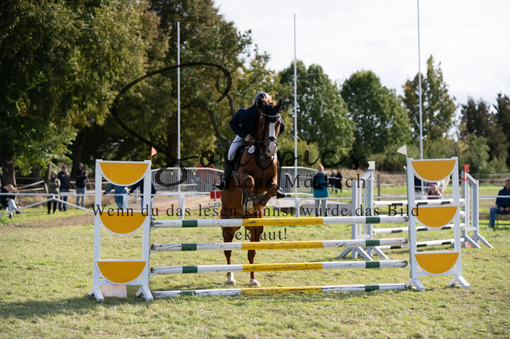 A7V07041 | Pferdefotograf