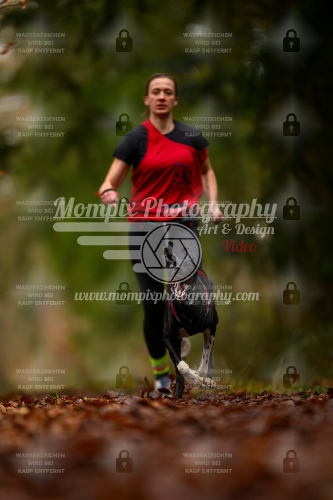 MompixPhotography_2SSTSSBW_2025_SO_Canicross-42 | PayLife
