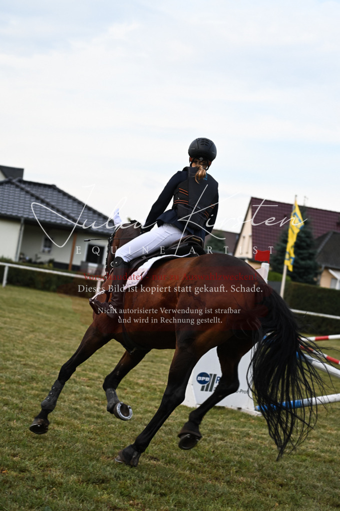 DSC_5656 | Pferde- und Turnierfotografie in Westsachsen. Pferdeportraits, Auftragszeichnungen und intuitive Kunst.