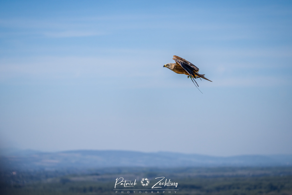 Kreuzenstein-Zöchling (9 von 46) | Mein Name ist Patrick Zöchling. Auf dieser Website siehst Du meine Projekte als Fotograf und kannst Dir Deine Fotos in Galerien ansehen und herunterladen. Über einen Webshop kannst Du Bilder ausarbeiten, auf T-Shirt drucken usw. - Realisiert mit Pictrs.com
