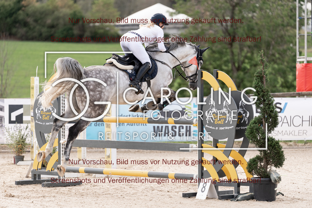 DSC06604 | Springturnier_Teamchallege_Talheim_2026, Clarissa_Schwär, Chouchou_vd_Axelhoeve