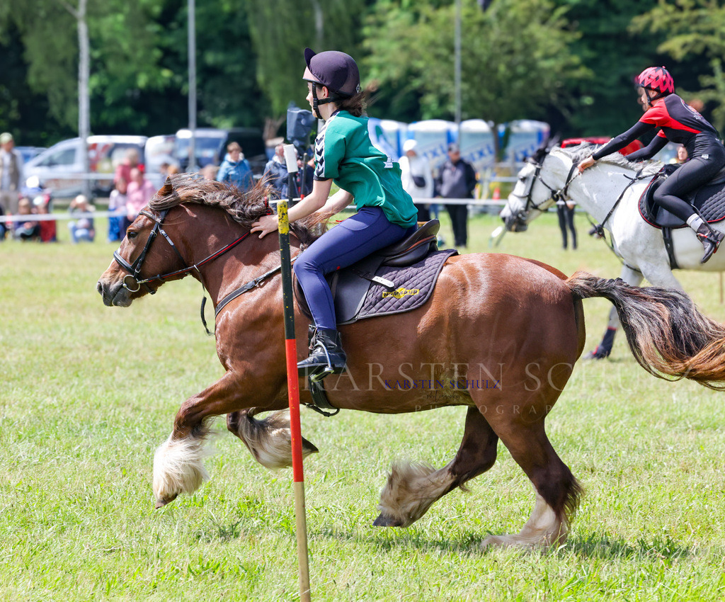 1B3A2274 | Reitsport Reiten
