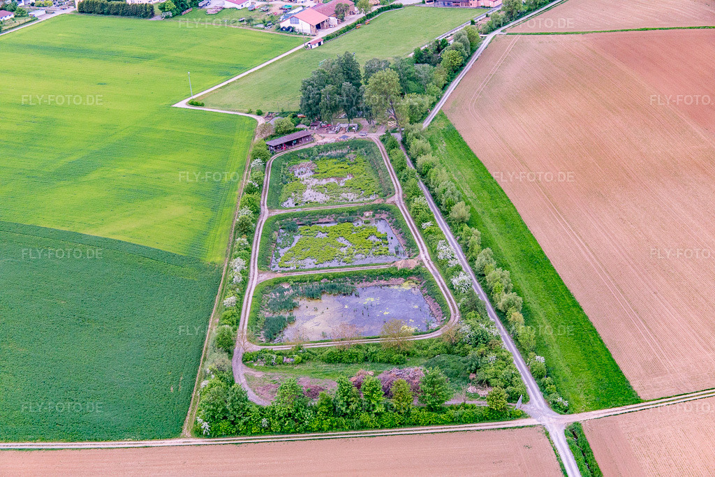 Luftbild: Fischteiche in Hausen bei Würzburg im Bundesland Bayern in Deutschland. Foto: IMG_078824.jpg vom 14.05.2015 durch Werner Riehm/FLY-FOTO.de