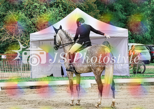 20250726_Dressurprüfung Kl.L Kandare-61 | JS-Photostyle - Sport-/Portrait- & Eventfotografie