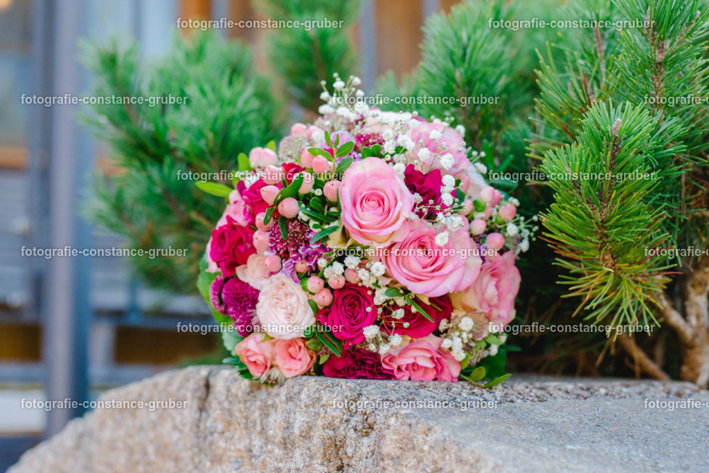 1006 | Fotografie Constance Gruber - Realisiert mit Pictrs.com