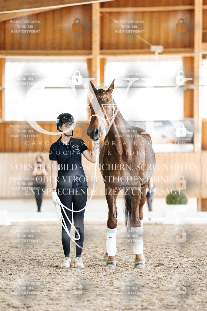 CK908288 | Turnierfotografie Pferdefotografie Trier Rheinland-Pfalz Pferdesport Reitsport Tierfotografie Sportfotografie Pferdevideo Pferdevideografie Equestrianvideography equestrianphotography  - Realisiert mit Pictrs.com