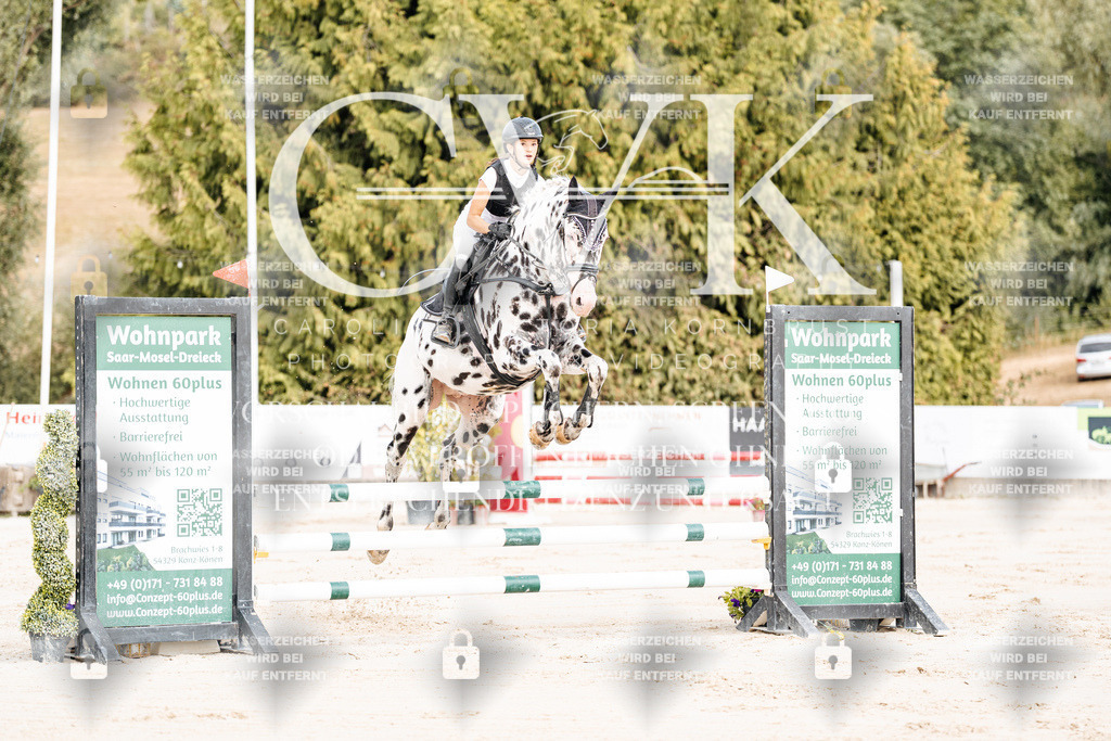 CK908921 | Turnierfotografie Pferdefotografie Trier Rheinland-Pfalz Pferdesport Reitsport Tierfotografie Sportfotografie Pferdevideo Pferdevideografie Equestrianvideography equestrianphotography  - Realisiert mit Pictrs.com
