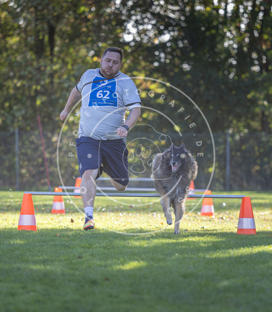 Pfotenfotografie.de_DV3A3174 | Hundefotografie, Tierfotograf, Pfotenfotografie, Fotoshooting Hund, Hunde Portrait, Hundesport, Hundeportraits, Heideshooting, Hunde, Sportfotograf, Hundefotograf, Turnierhundsport, THS, canicross - Realisiert mit Pictrs.com