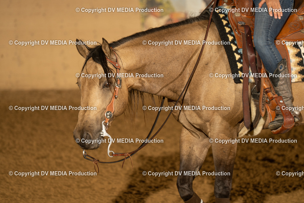 LAU00193 | dv-media-shop - Realisiert mit Pictrs.com