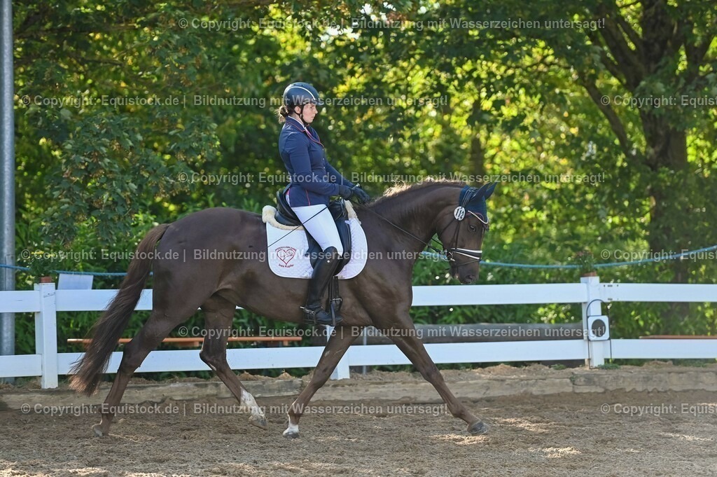 20230715_06_Dressurpferdeprfg. Kl.A_0129 | equistock