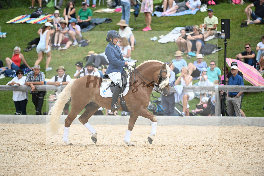 Haflinger in der Arbeit_36240490 | hf-fotografie - Realisiert mit Pictrs.com