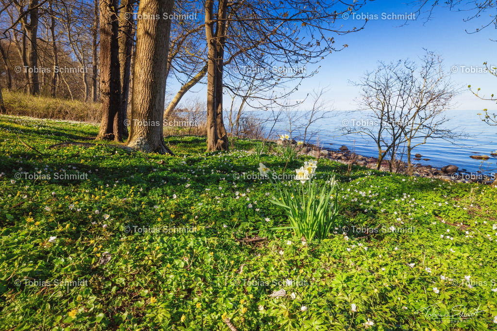Fehmarn__DSC1808 | Fotoprodukte, Kalender und Wanddeko direkt vom Fotografen auf Fehmarn. Ob Wandbild auf Alu-Dibond, hinter Acrylglas oder auf Leinwand – hier können Sie Ihr Lieblingsbild kaufen. - Realisiert mit Pictrs.com