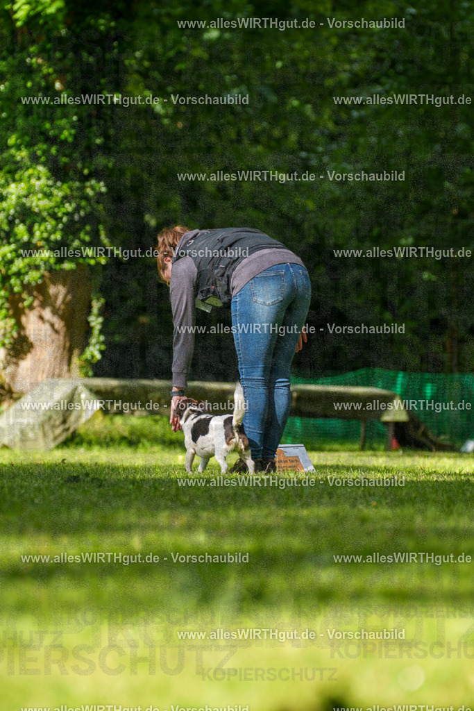 @allesWIRTHgut_Tierfotografie - www.allesWIRTHgut.de - 083013-7R506245 | Professionelle Tierfotografie in Mönchengladbach von Daniel Wirth (allesWIRTHgut). Liebevolle & natürliche Bilder von Hunden & Katzen für unvergessliche Erinnerungen.