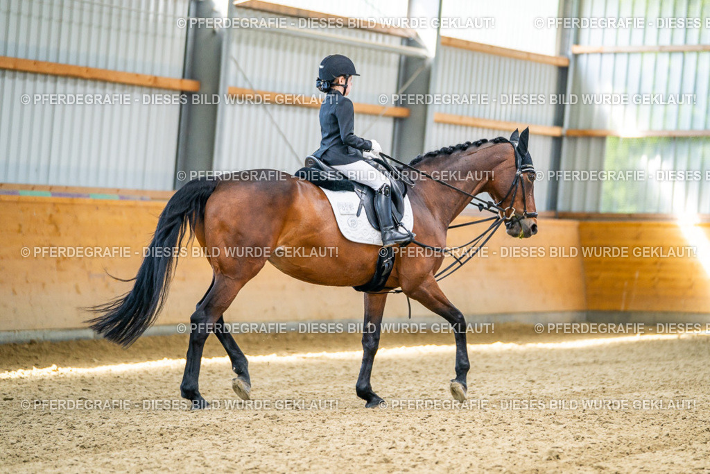 DSC02443 | Pferdegrafie