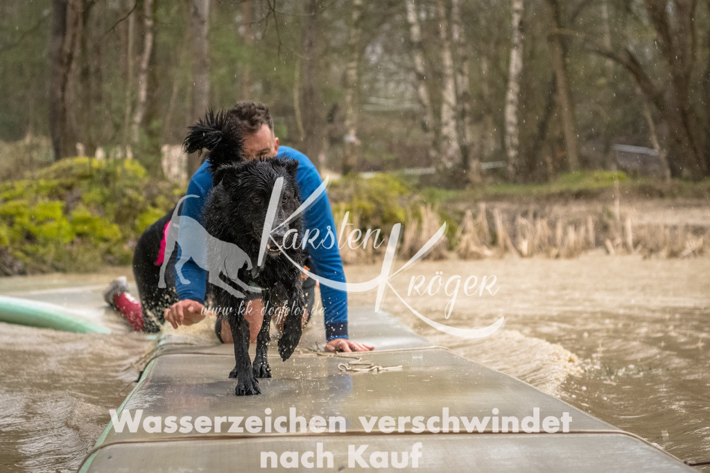 1053_ZZ93694-Bearbeitet | kk-dogfotos