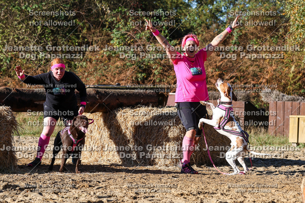 Dog Paparazzi - Strongdog 10-25-1959 | Dog Paparazzi Jeanette Grottendiek Fotografie & Videografie - Realisiert mit Pictrs.com