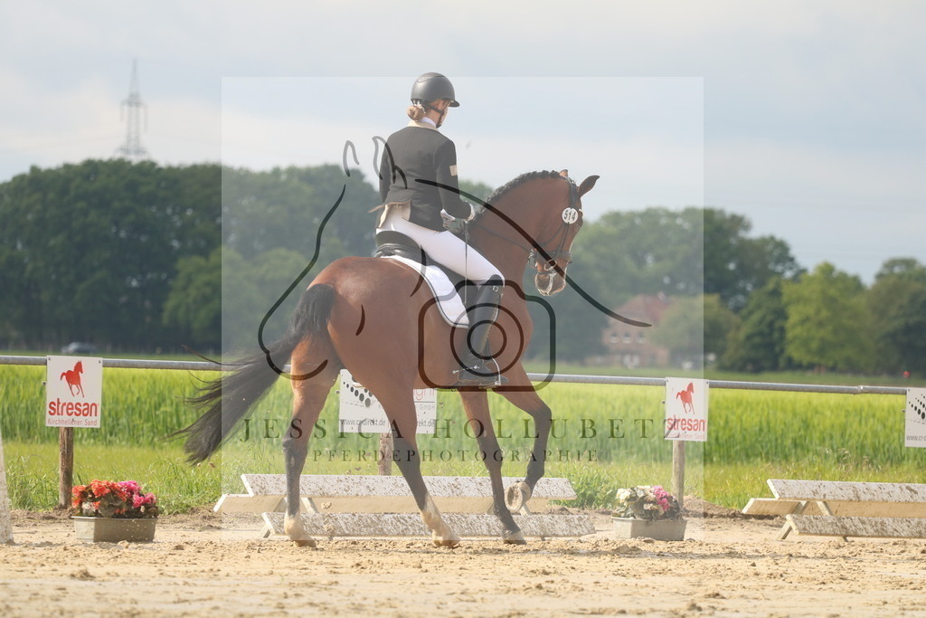 IMG_8392 | jessicahollubetz_pferdephotographie - Realisiert mit Pictrs.com