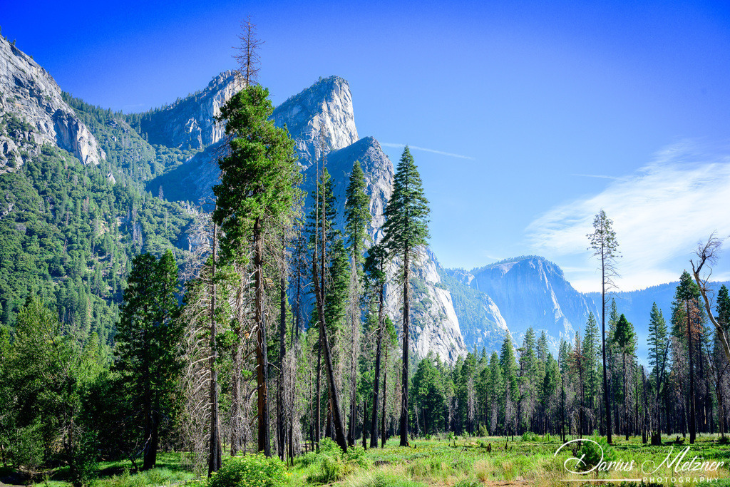 Yosemite National Park | Yosemite National Park