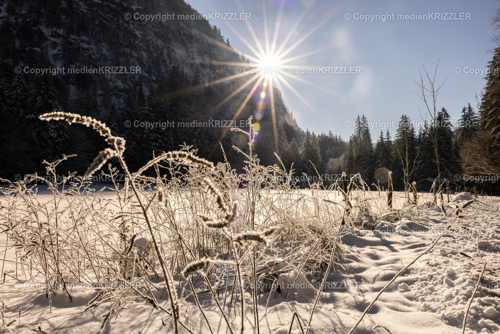 _J3A9632 | medienkrizzler - Realisiert mit Pictrs.com