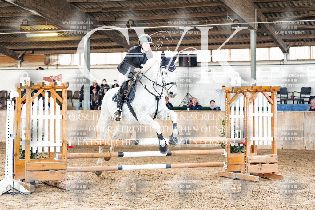 CK904470 | Turnierfotografie Pferdefotografie Trier Rheinland-Pfalz Pferdesport Reitsport Tierfotografie Sportfotografie Pferdevideo Pferdevideografie Equestrianvideography equestrianphotography  - Realisiert mit Pictrs.com