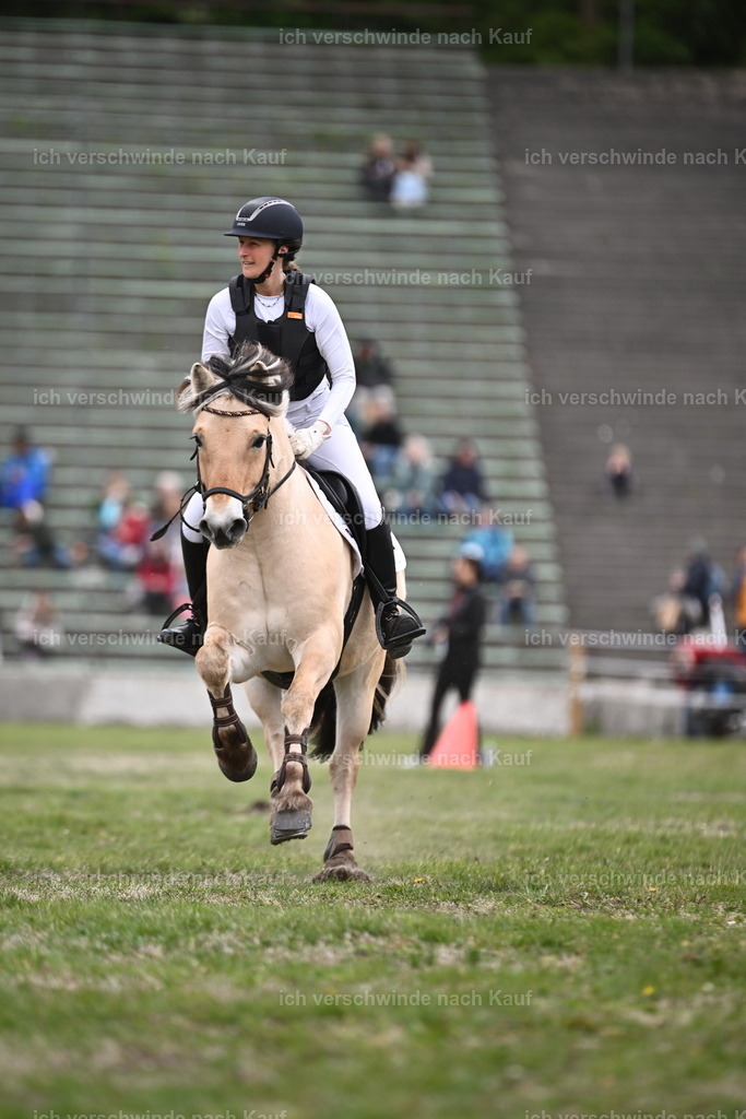 PI26_Show_Sara_Landvogt_226_0808.JPG | working equitationturnier fotograf videograf stoibphotography marixx film working equitation deutschland reitsport turnierfotografie eventfotografie equestrian events