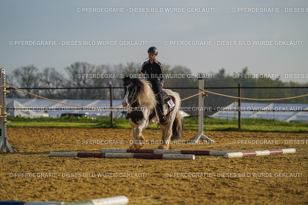 DSC00221 | Pferdegrafie