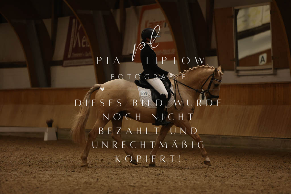 IMGM8496 | pl-fotografie