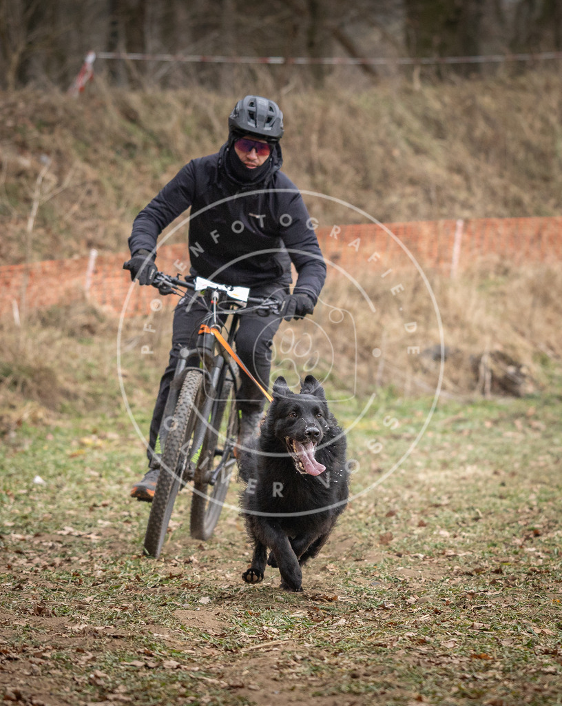 Pfotenfotografie_DV3A6188 | Hundefotografie, Tierfotograf, Pfotenfotografie, Fotoshooting Hund, Hunde Portrait, Hundesport, Hundeportraits, Heideshooting, Hunde, Sportfotograf, Hundefotograf, Turnierhundsport, THS,  - Realisiert mit Pictrs.com