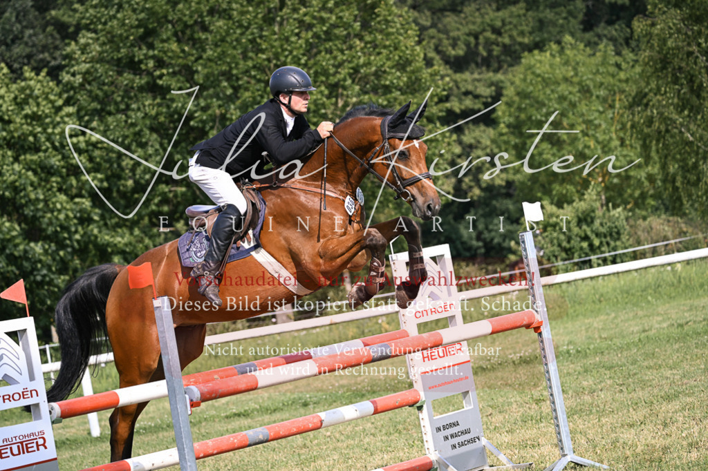 DSC_1080 | Pferde- und Turnierfotografie in Westsachsen. Pferdeportraits, Auftragszeichnungen und intuitive Kunst.