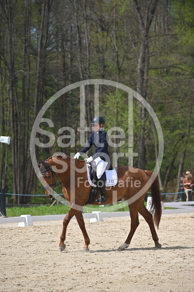 DSC_2896 | sattelsport - Realisiert mit Pictrs.com