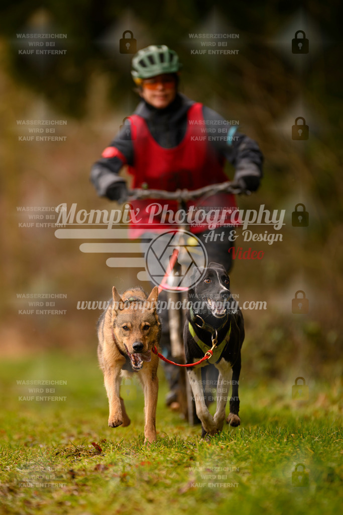 MompixPhotography_2SSTSSBW_2025_SO_Scooter-100 | PayLife