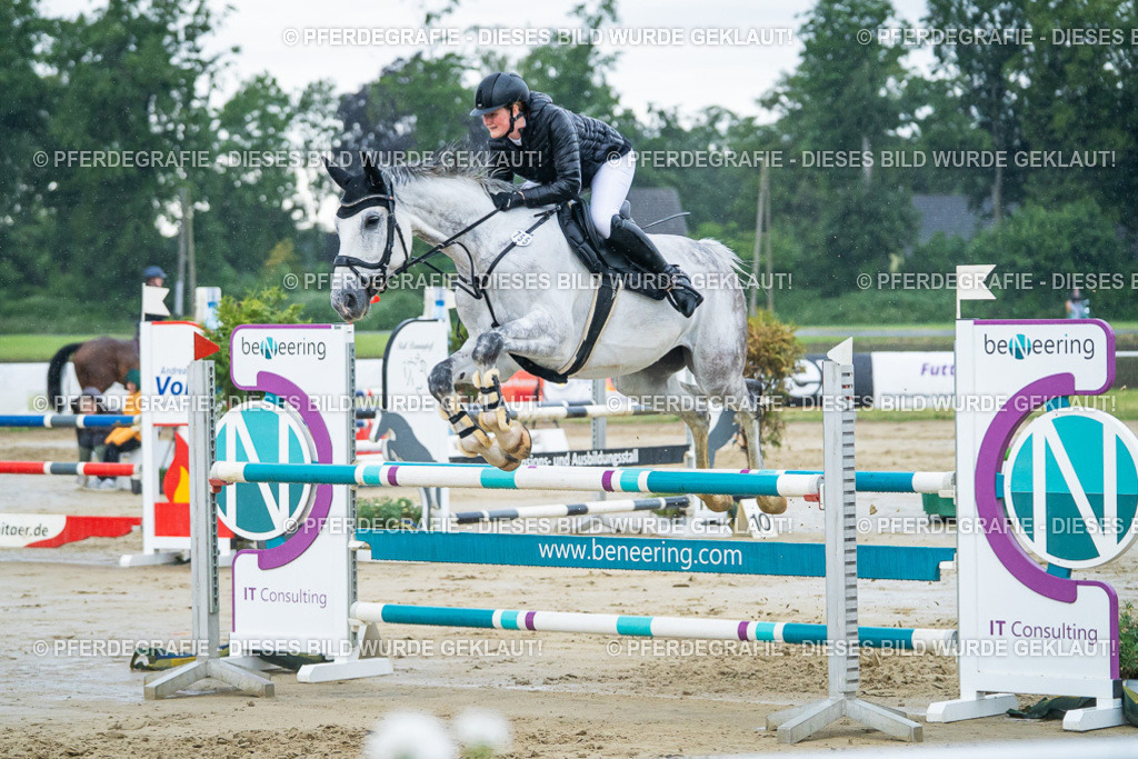 DSC04159 | Pferdegrafie