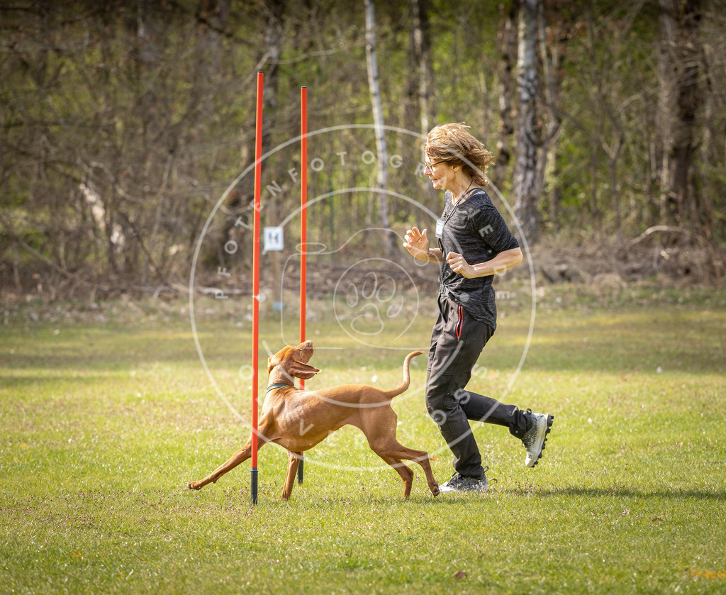 Pfotenfotografie_DV3A9645 | Hundefotografie, Tierfotograf, Pfotenfotografie, Fotoshooting Hund, Hunde Portrait, Hundesport, Hundeportraits, Heideshooting, Hunde, Sportfotograf, Hundefotograf, Turnierhundsport, THS,  - Realisiert mit Pictrs.com