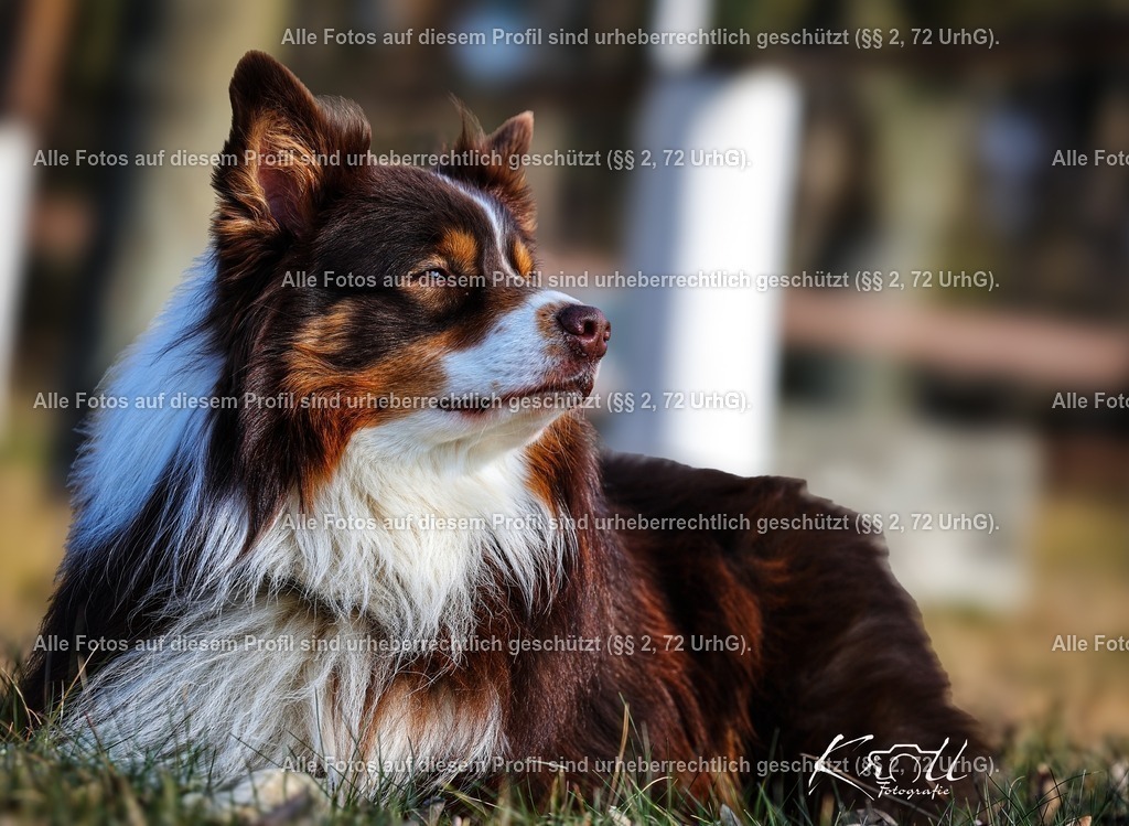 Photo_1741467484741 | krollfotografie - Realisiert mit Pictrs.com