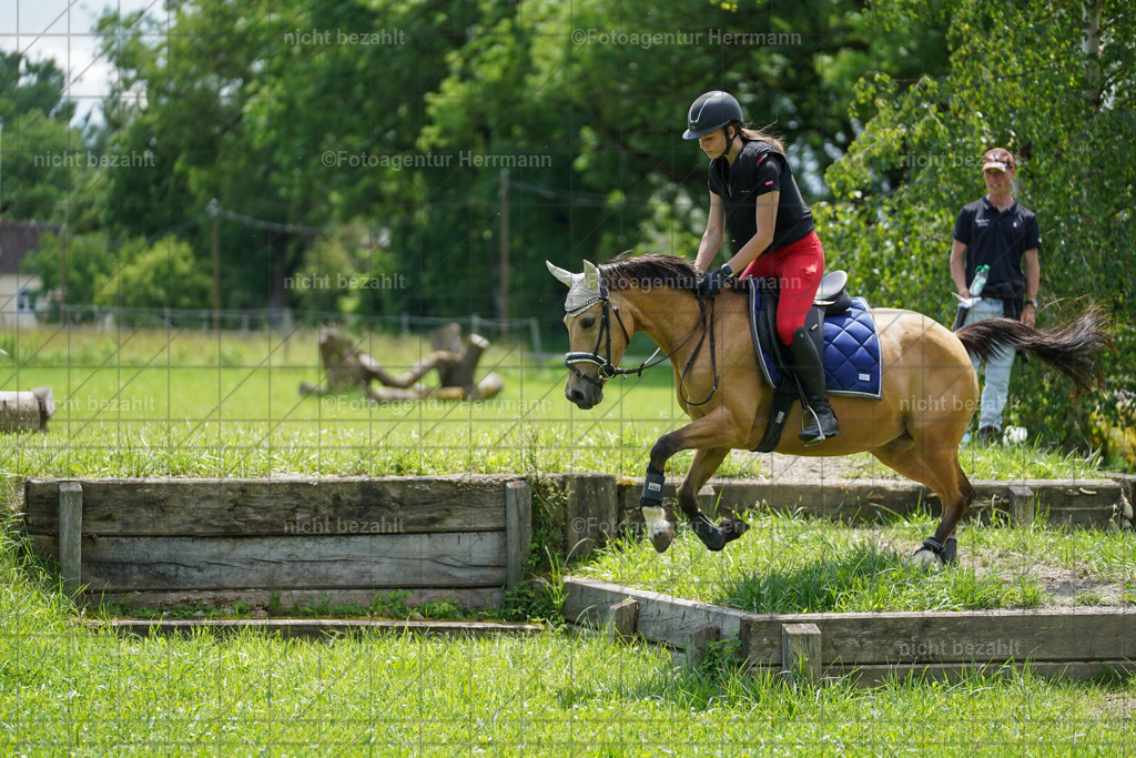 20240622-FAH07349 | Turnierfotografen Bayern, Reitsportbilder aus dem Geländekurs mit Felix Etzel auf dem Gut Waitzacker 2024