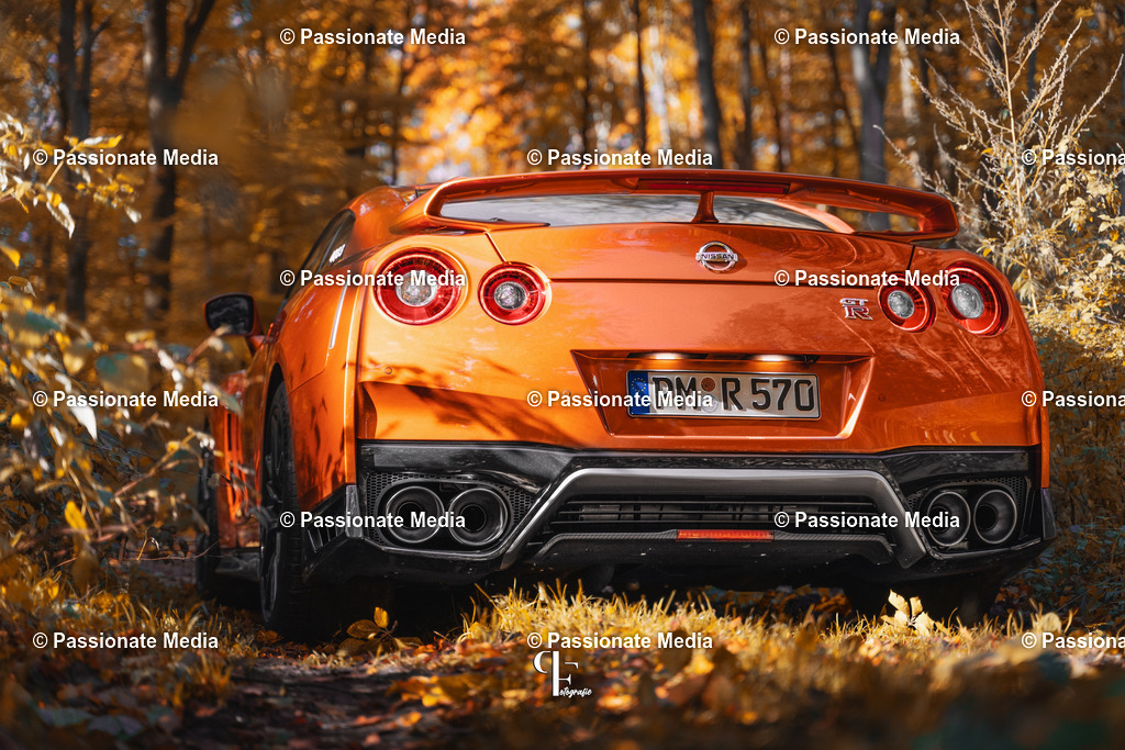 DSC06168 | Passionate Media, dein Fotograf aus Brandenburg, Märkisch Oderland, im Bereich Motorsport, Autos und Motorräder sowie Events und auch Hunde. Shootings oder auch Eventbegleitungen können bei mir gebucht we