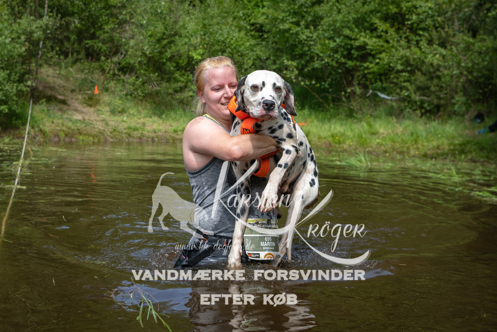 1229DKK992982 | kk-dogfotos