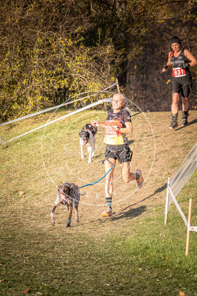 CaniXpix_0L8A0696 | Hundefotografie, Tierfotograf, Pfotenfotografie, Fotoshooting Hund, Hunde Portrait, Hundesport, Hundeportraits, Heideshooting, Hunde, Sportfotograf, Hundefotograf, Turnierhundsport, THS,  - Realisiert mit Pictrs.com