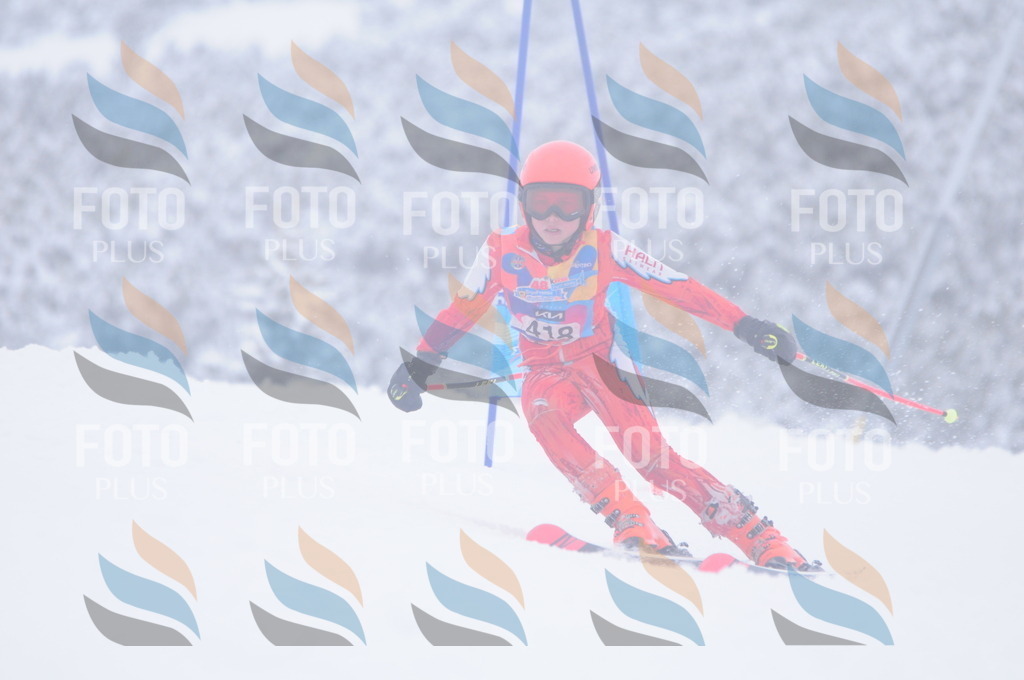 C4383 | holidayphoto